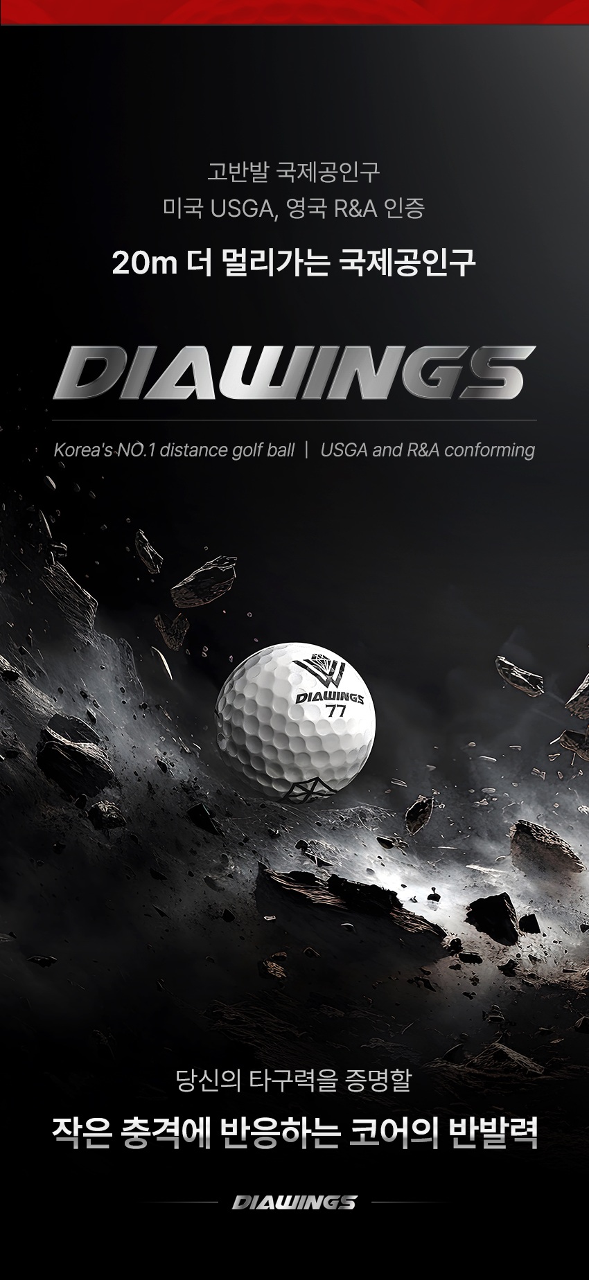 DIAWINGS_04.jpg