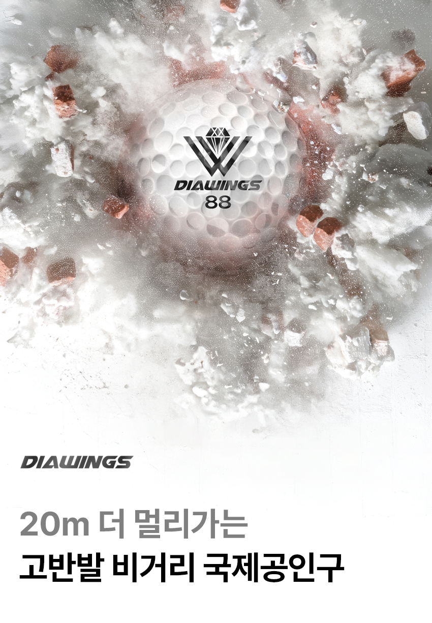 DIAWINGS_09.jpg